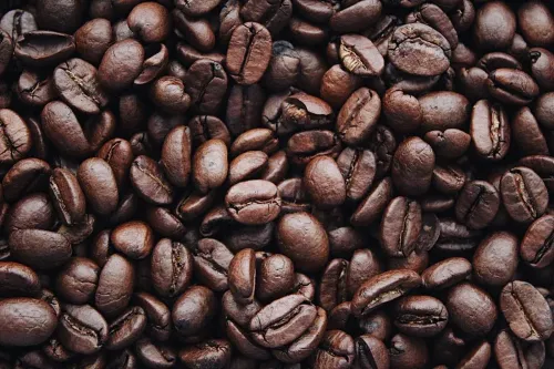 Bolivian Caranavi #108