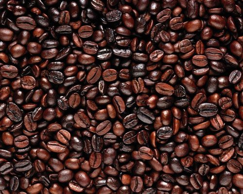 Ethiopian Yirgacheffe #55
